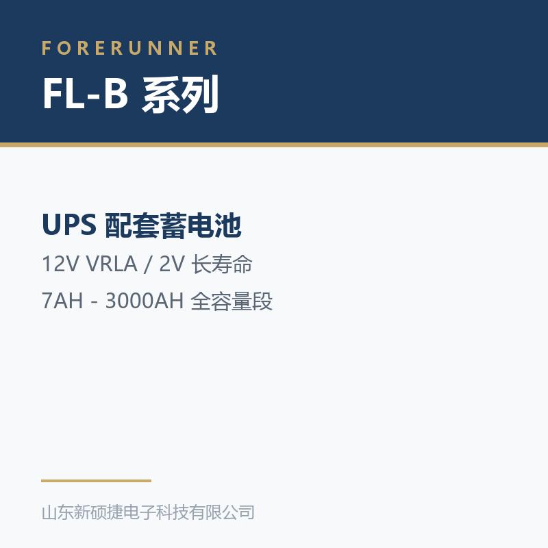 FL-B 系列 12V 阀控式铅酸蓄电池(淄博临淄区UPS电源)