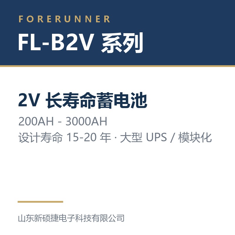 FL-B2V 系列 2V 长寿命蓄电池(淄博临淄区UPS电源)